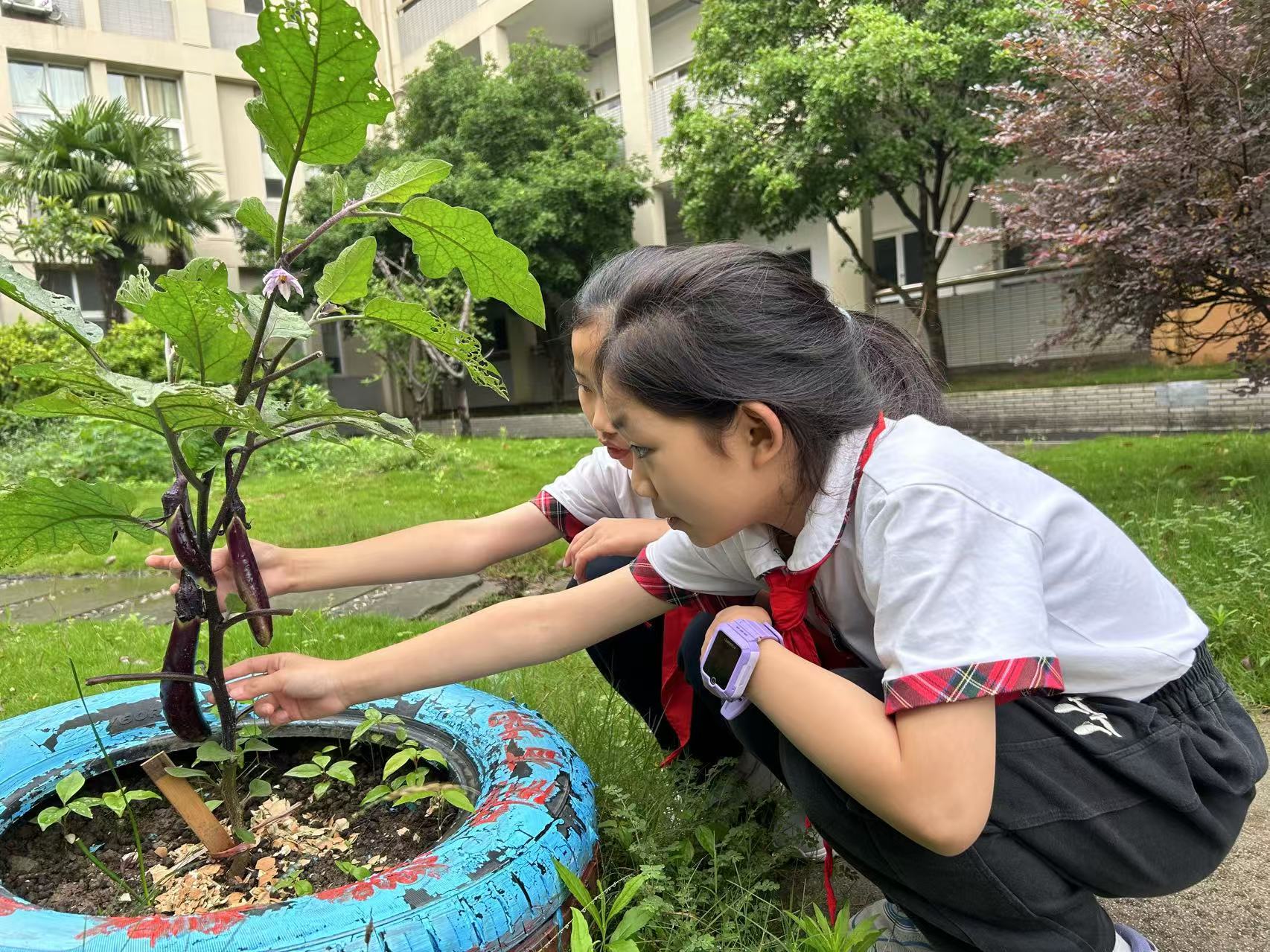 劳动 (2).jpg 劳动 (2).jpg